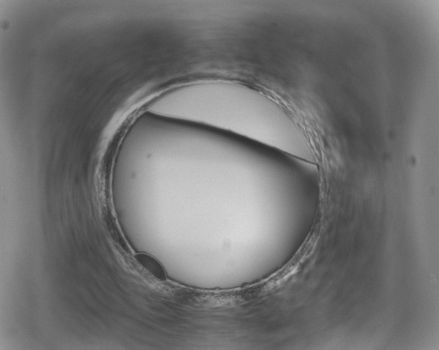 X0000080730343200612150909