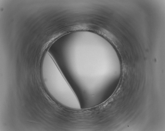 X0000080730345200612150909