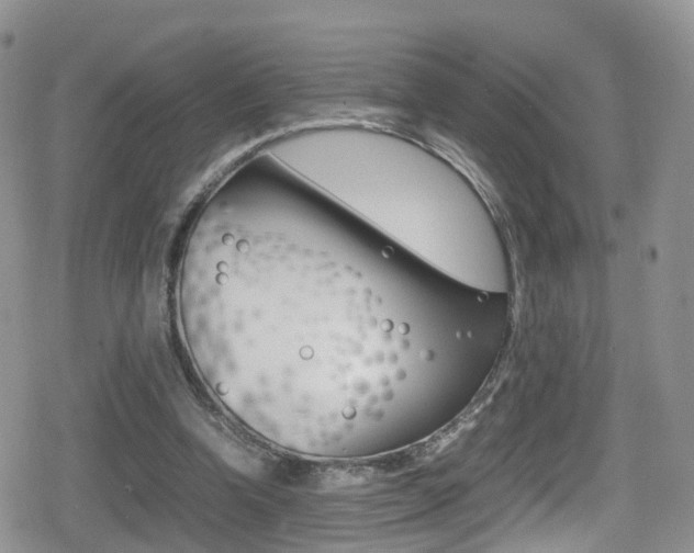 X0000080730346200612150909