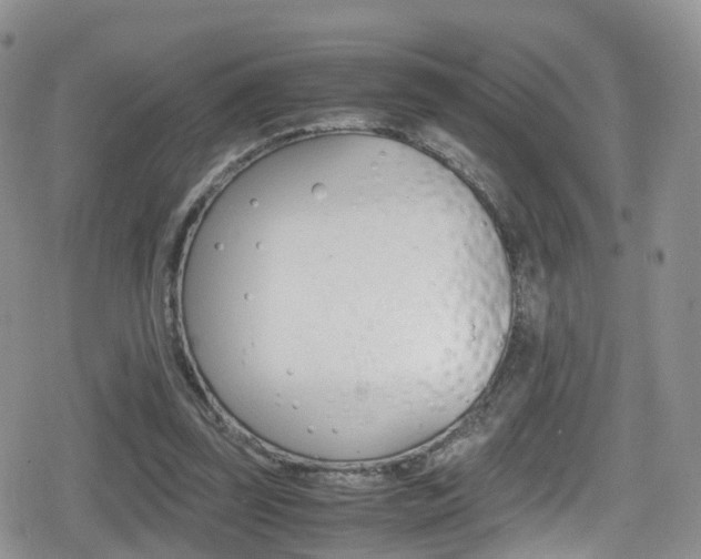 X0000080730347200612150909