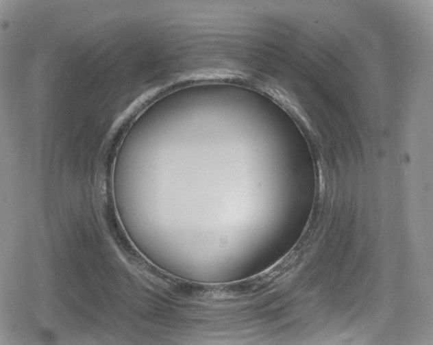 X0000080730348200612150909