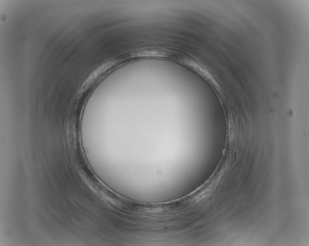 X0000080730349200612150909