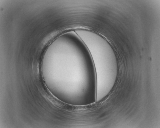 X0000080730350200612150909