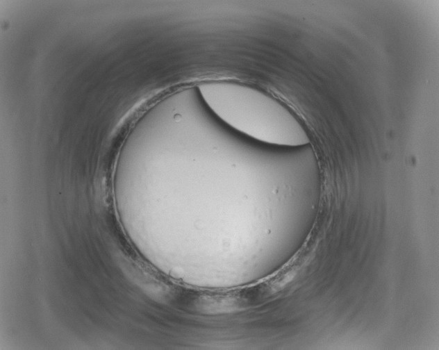 X0000080730351200612150909