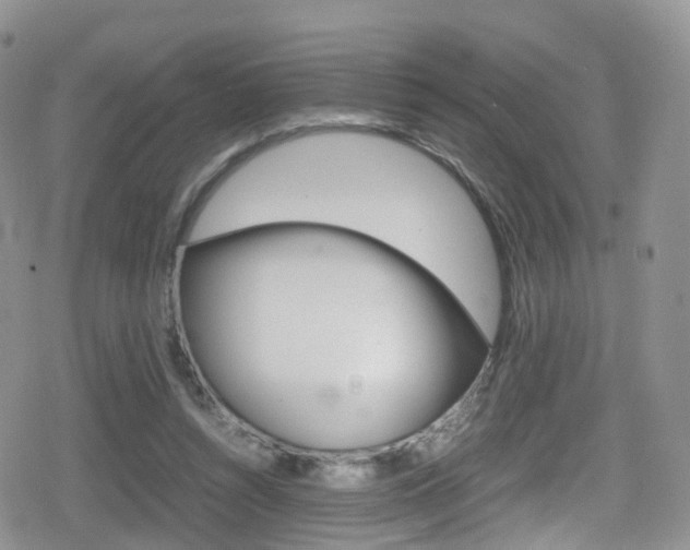 X0000080730352200612150909