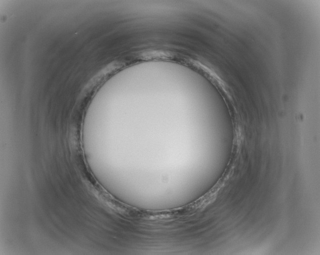 X0000080730353200612150909