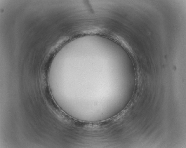 X0000080730354200612150909