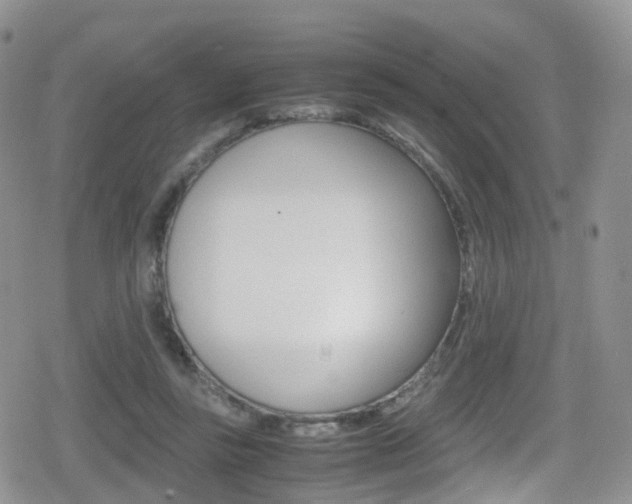 X0000080730355200612150909