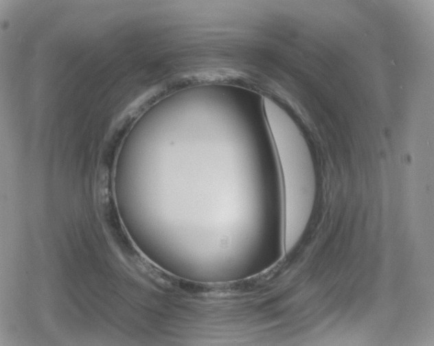 X0000080730356200612150909