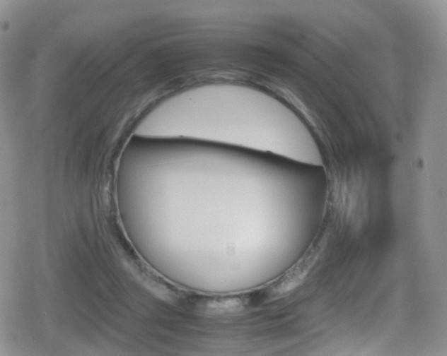 X0000080730357200612150909