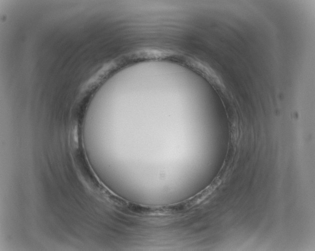 X0000080730358200612150909