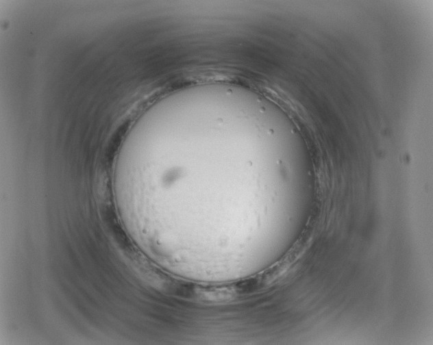 X0000080730359200612150909