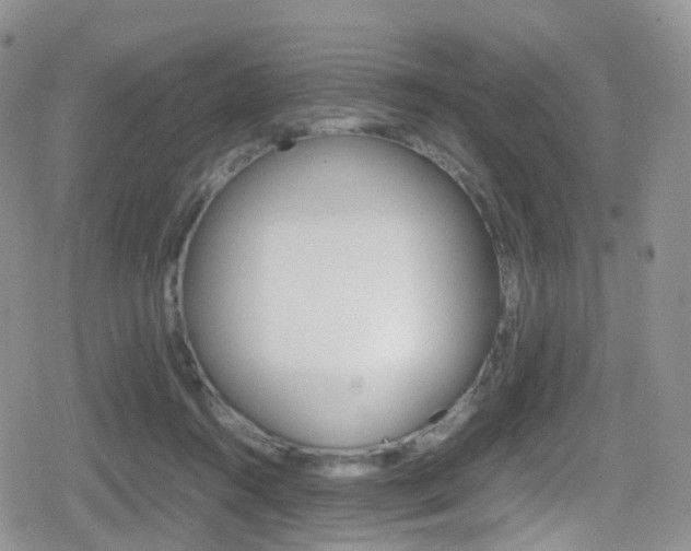 X0000080730360200612150909