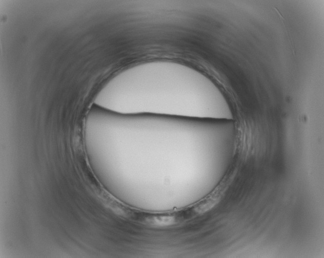 X0000080730361200612150909