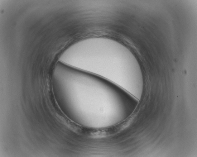 X0000080730362200612150909