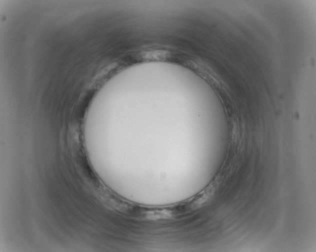 X0000080730363200612150909