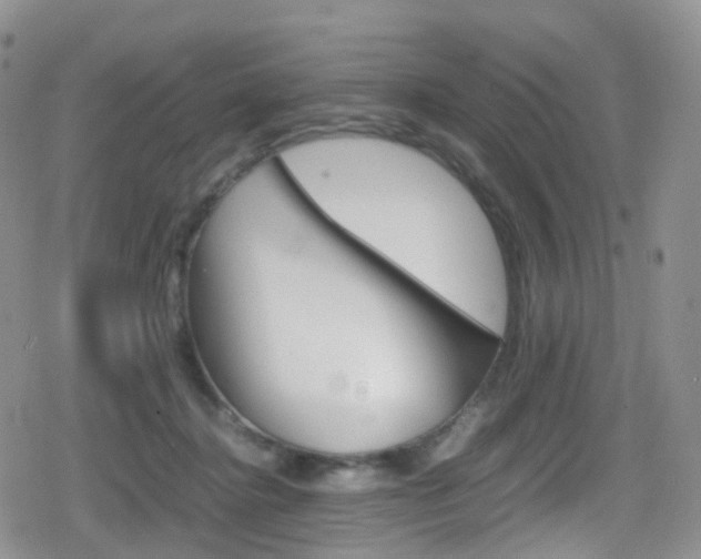 X0000080730364200612150909