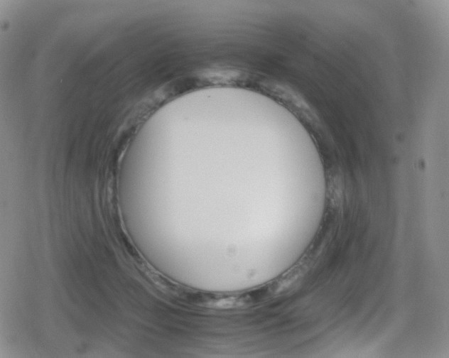 X0000080730365200612150909