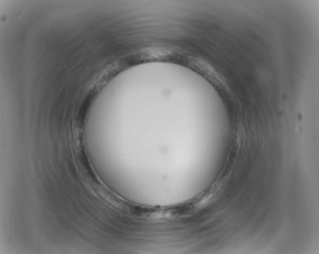 X0000080730366200612150909