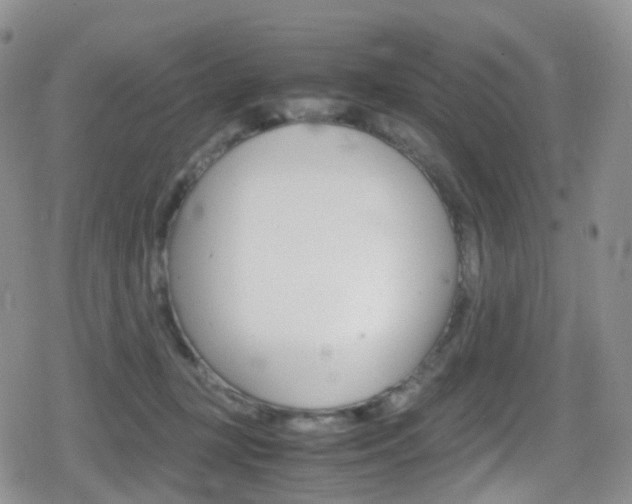 X0000080730367200612150909