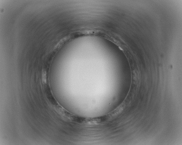 X0000080730368200612150909