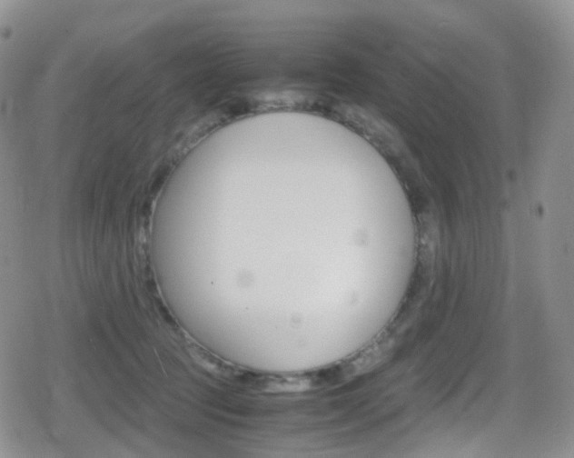 X0000080730369200612150909