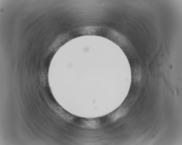 X0000080730370200612150909