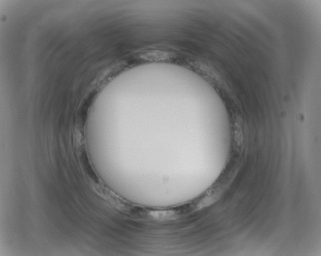 X0000080730371200612150909