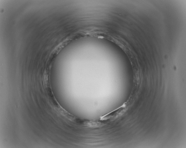 X0000080730372200612150909