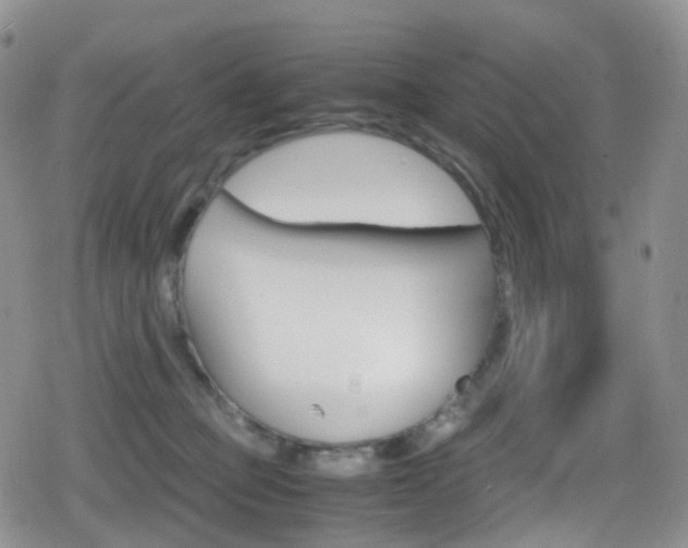 X0000080730373200612150909