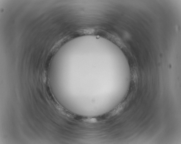 X0000080730374200612150909