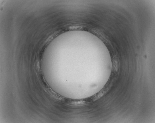 X0000080730375200612150909