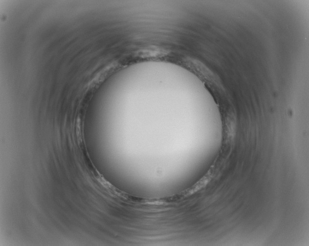 X0000080730376200612150909