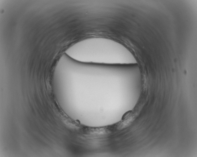 X0000080730377200612150909