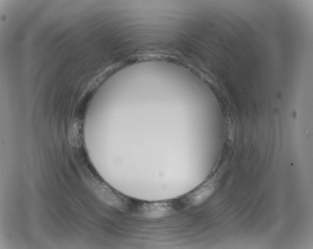 X0000080730378200612150909