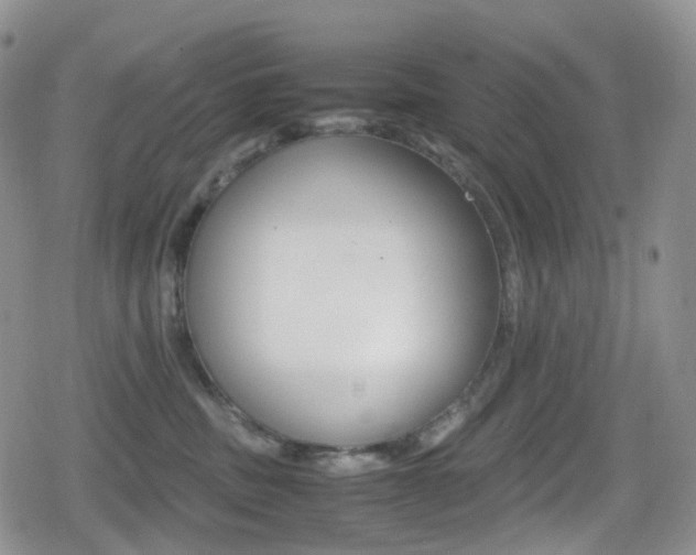 X0000080730379200612150909