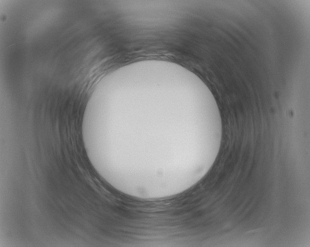 X0000080730380200612150909