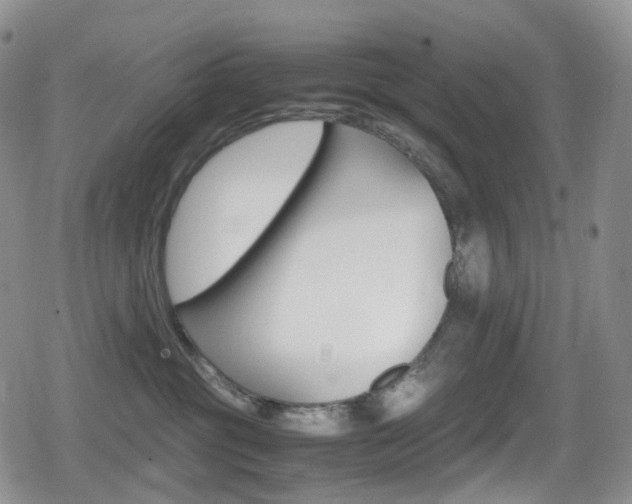 X0000080730381200612150909