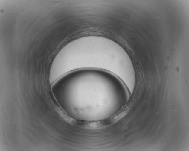 X0000080730382200612150909