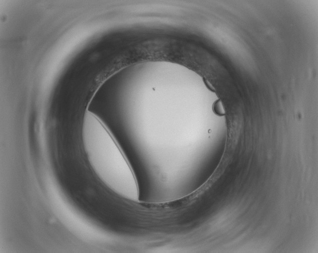 X0000080730383200612150909