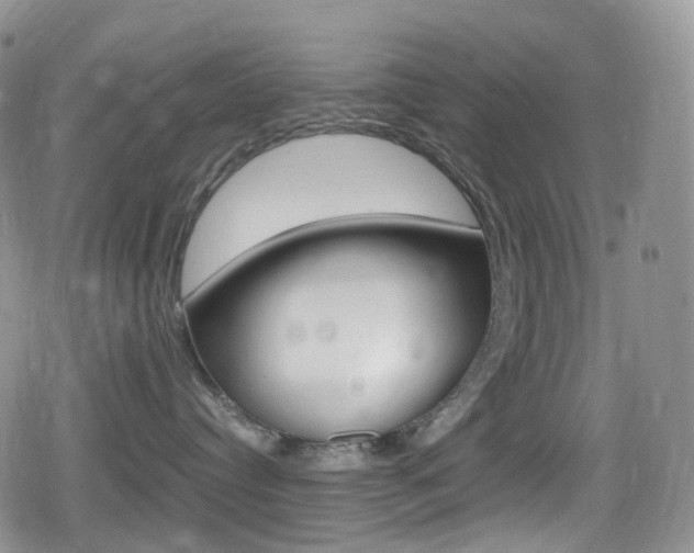 X0000080730384200612150909