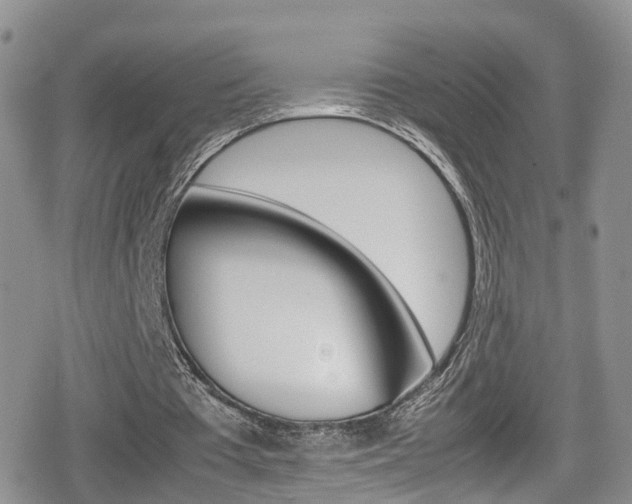 X0000080730385200612150909