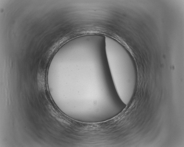 X0000080730386200612150909