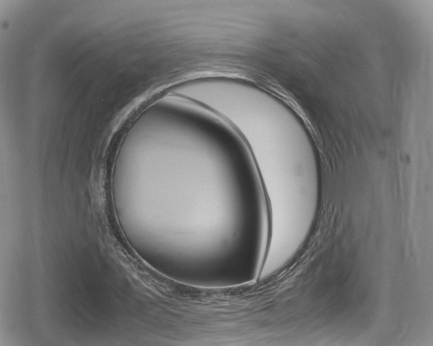 X0000080730387200612150909