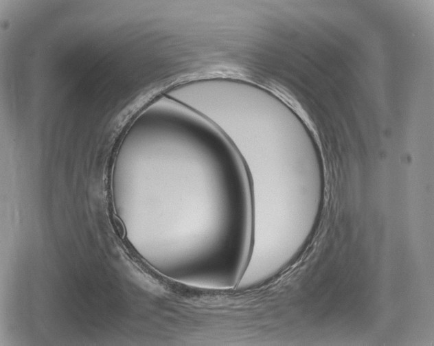 X0000080730389200612150908