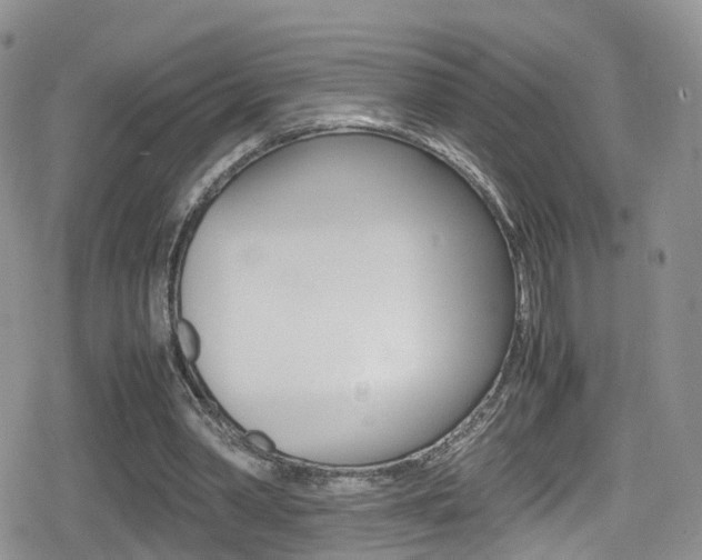 X0000080730390200612150908