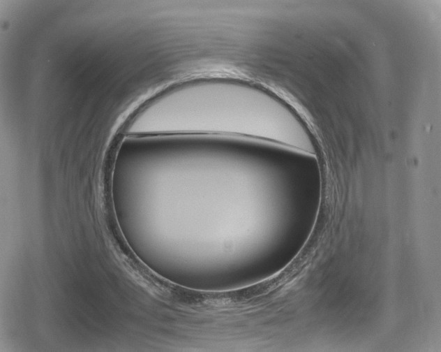 X0000080730391200612150908