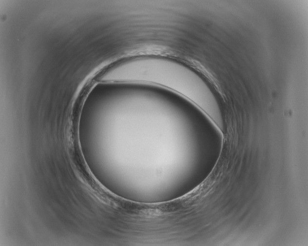 X0000080730392200612150908