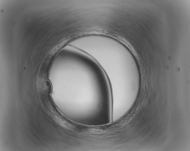 X0000080730393200612150908