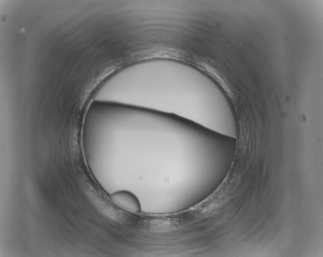 X0000080730394200612150908